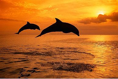 《枪火重生》全球销量突破200万份 1.0版今日上线